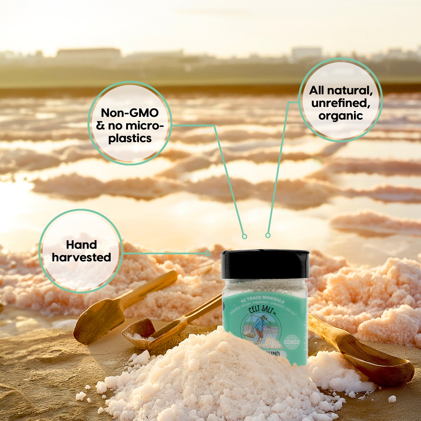 Celtic Sea Salt- 8 oz Shaker of Fine Ground, organic, 82 minerals, Celt Salt by Nature's Pantry